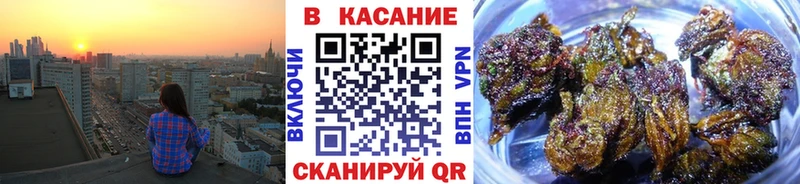 Где купить Соликамск Галлюциногенные грибы  ссылка на мегу ссылка  Кокаин  ГАШ 