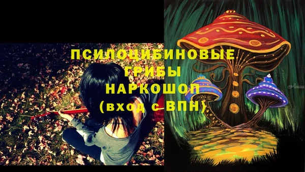 a pvp Балахна